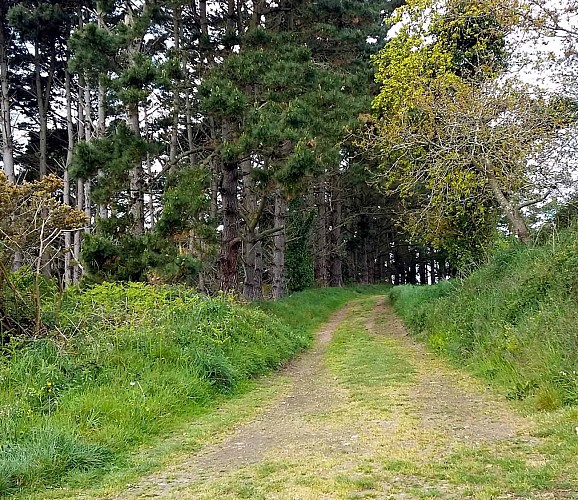 Toull an Hent - Pont Blanc | Plestin les Grèves