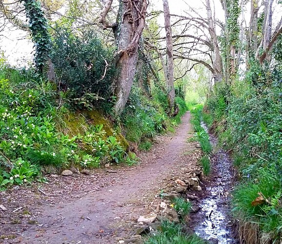 Toull an Hent - Pont Blanc | Plestin les Grèves