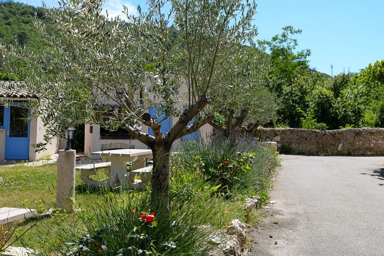 Sur la crête de la Montagne d'Artigues (646 m)_Artigues