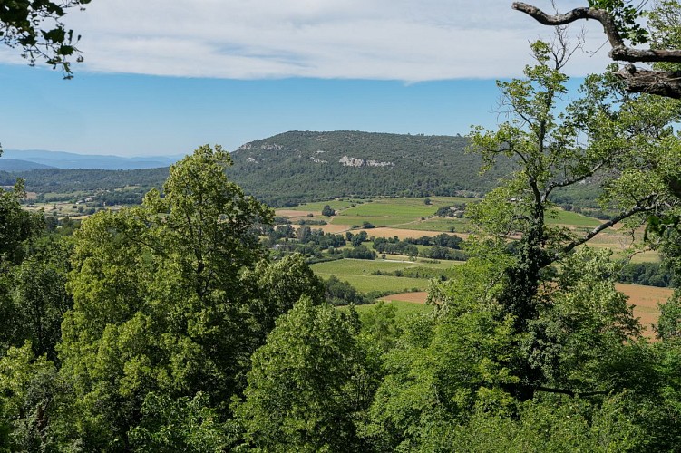 Sur la crête de la Montagne d'Artigues (646 m)_Artigues