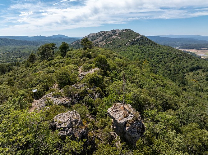 Sur la crête de la Montagne d'Artigues (646 m)_Artigues
