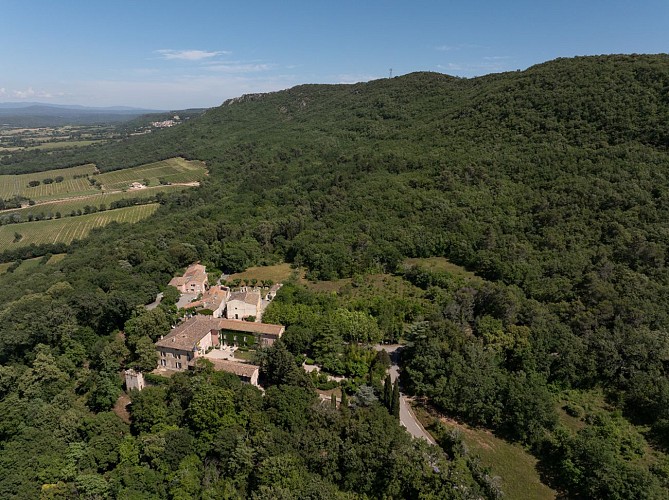 Sur la crête de la Montagne d'Artigues (646 m)_Artigues