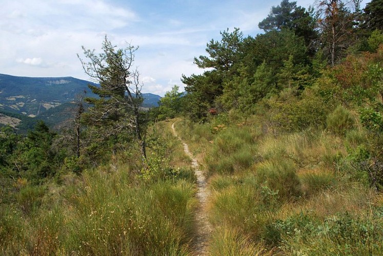 Hiking trail "Le Serre de Bout"