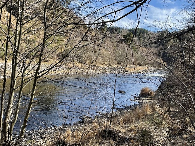 Les berges de l'Allier