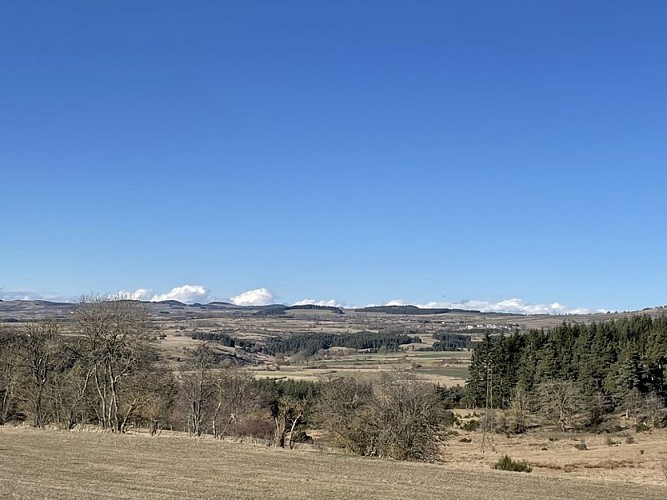 Vue sur la Margeride