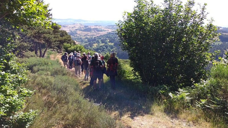 En chemin...