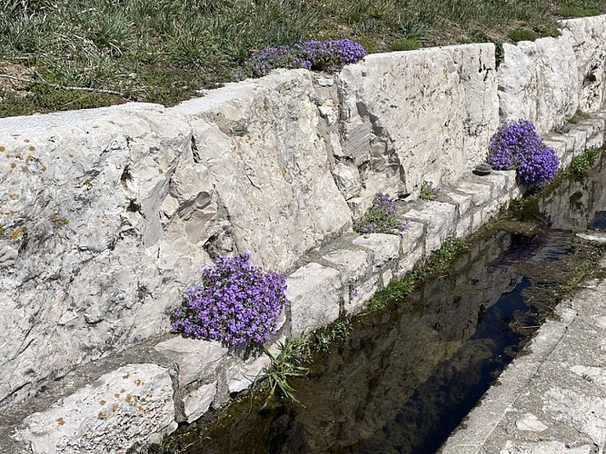 Fontaine à La Vialatte