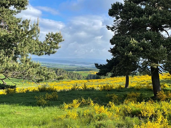 Panorama vers les Choisinets
