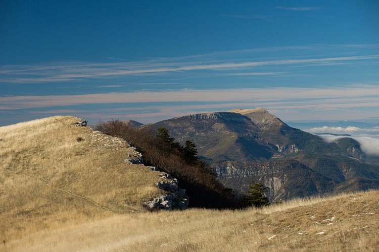 Hiking trail "Les crêtes de Raton"