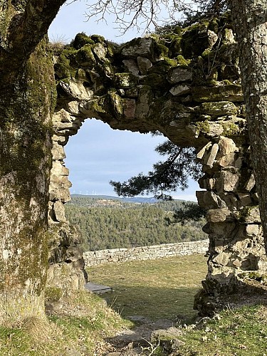 Vue des jardins du château
