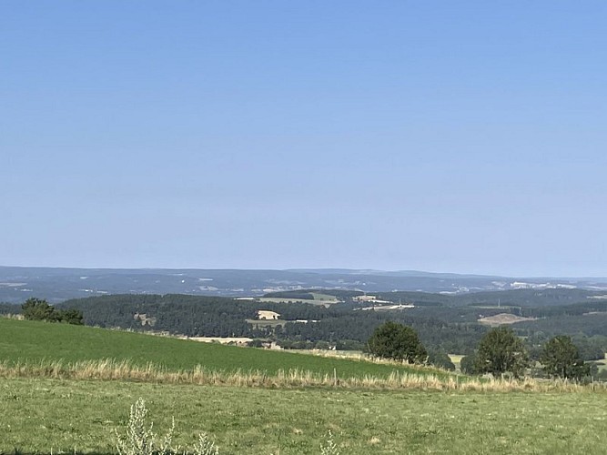 Vue sur la Margeride