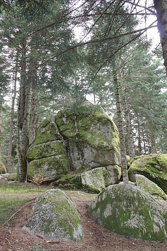 Le rocher des fées