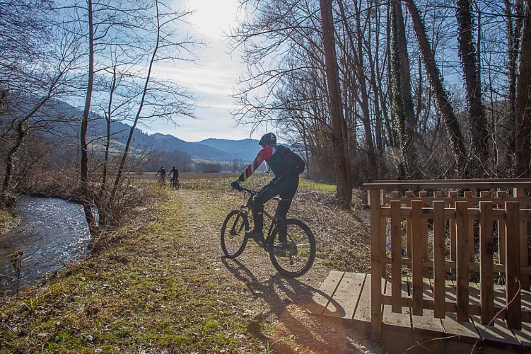 Circuit VTT n°33 - De Marais en Châteaux