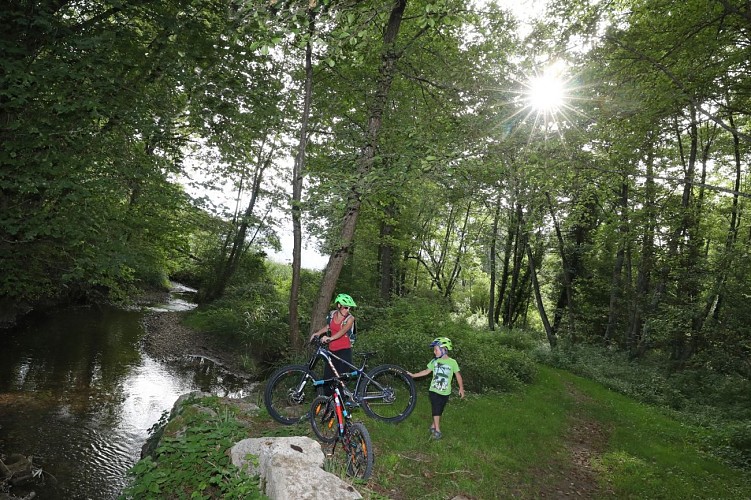 Circuit VTT n°33 - De Marais en Châteaux