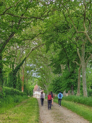 Circuit des vignes et châteaux