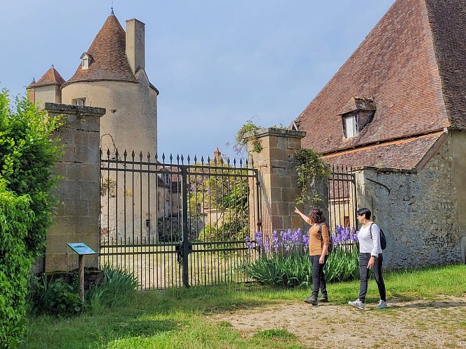 Entre terre et vigne