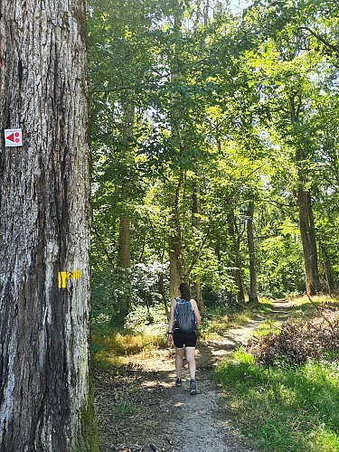 Entre terre et vigne