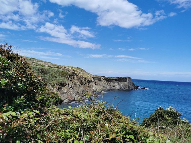 (E 12-Sentier Littoral/Führer 2022) Fremdenverkehrsamt Collioure - Fremdenverkehrsamt Port-Vendres