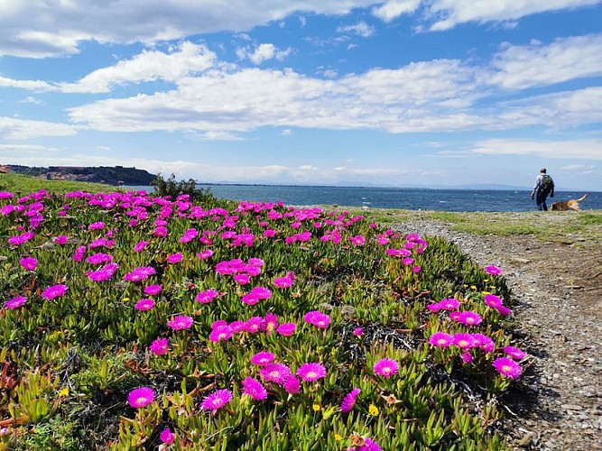 (E 12-Sentier Littoral/guide 2022) Office de Tourisme de Collioure - Office de Tourisme de Port-Vendres