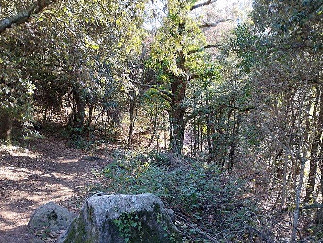Rundweg des Priorat Santa Maria del Vilar über das Mas del Pou