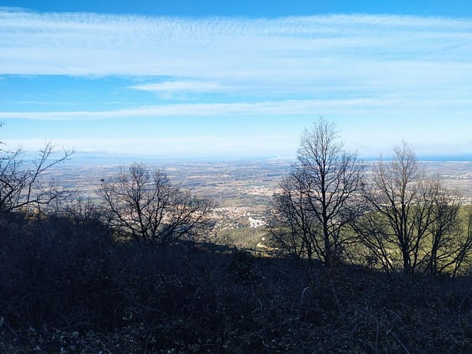 Rundweg des Priorat Santa Maria del Vilar über das Mas del Pou