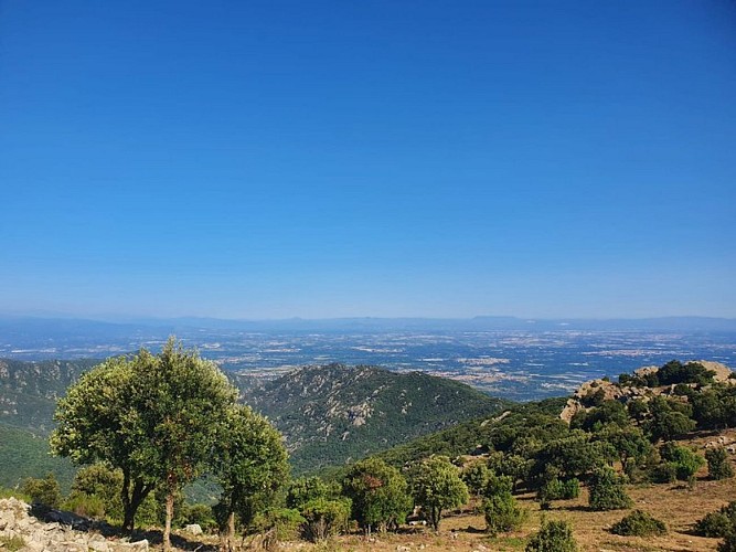 From Lavail to Valmy via the Tour de la Massane