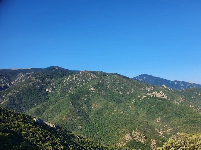 From Lavail to Valmy via the Tour de la Massane