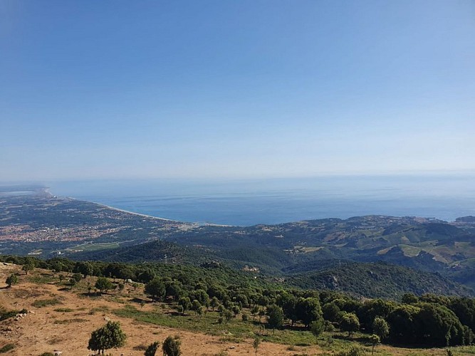 From Lavail to Valmy via the Tour de la Massane
