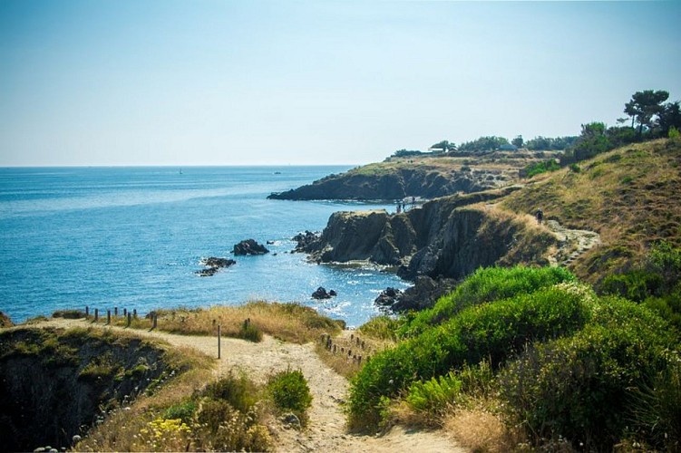 From the Château de Valmy to Collioure via the coastal path.