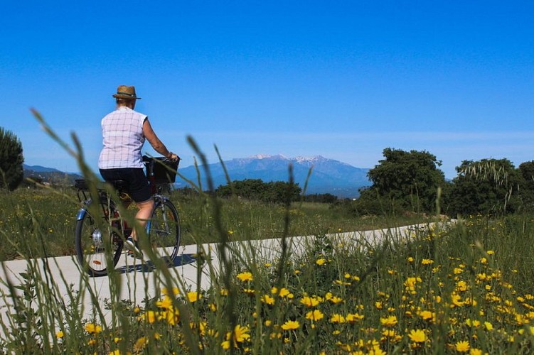 Eurovélo 8 (2020) Tramo Argelès-sur-mer/Sorède