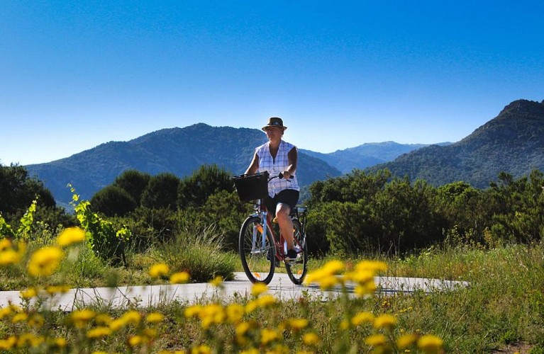 Eurovélo 8 (2020) Tranche Argelès-sur-Mer / Sorède