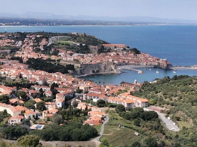 Baie de Collioure