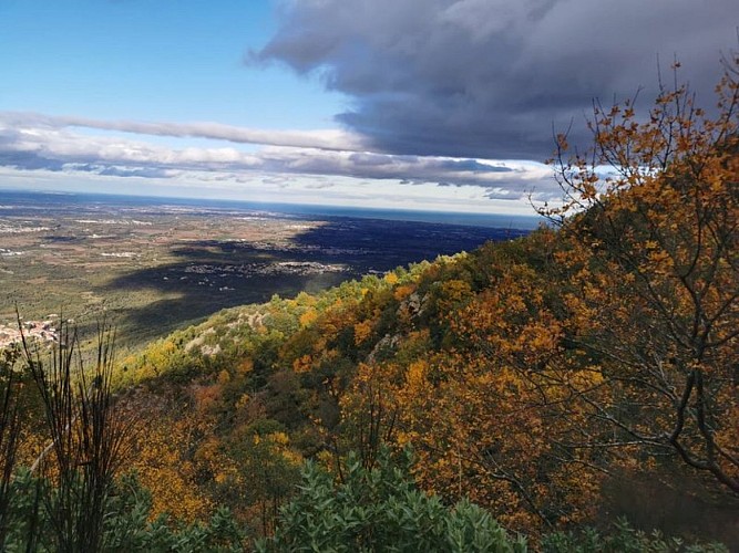 Vue depuis la montée au Casot du soldat