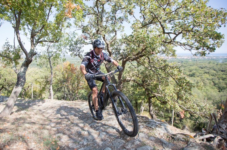 Der Weg der Korkeichen (Montainbike)