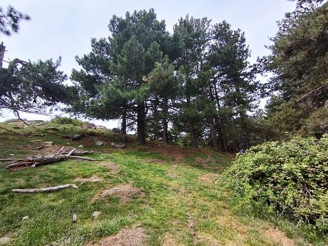 Der Roc del Grevol und Puig d'Orella