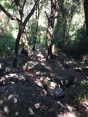 The "Cabanes de Mataporc" from Soréde