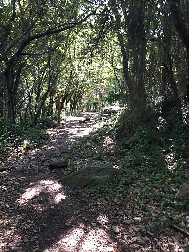 Les Cabanes de Mataporc par Sorède