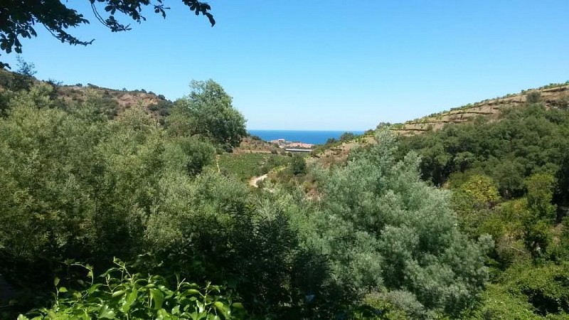 Les Hauts de Collioure