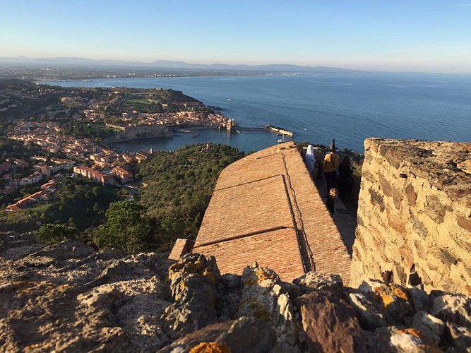 Panorama sur la baie de Collioure depuis le Fort St Elme