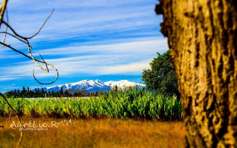 Els jardins del Rosselló (BTT)