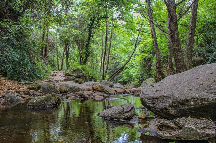 Course orientation Laroque