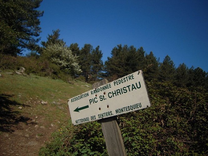 Peak of San Cristau