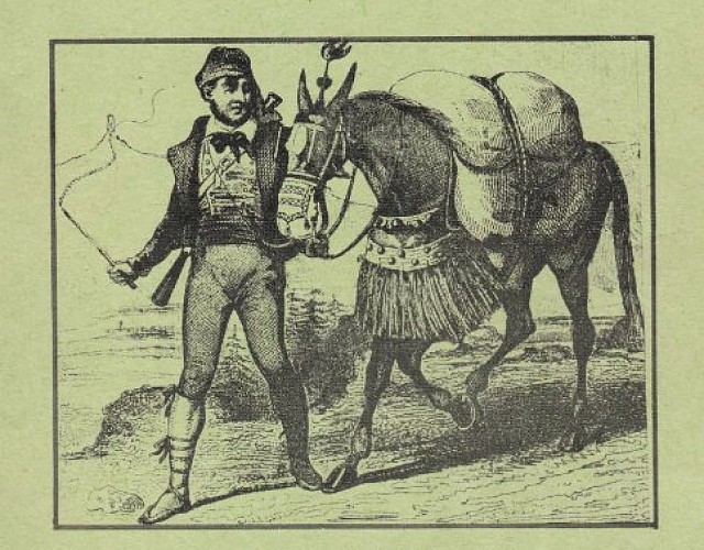 Couverture de Fa temps "Banyuls de la Marenda"