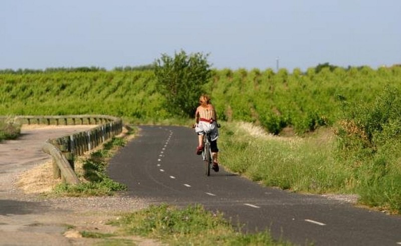 Voie Verte à Perpignan