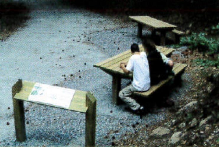 Aménagement du sentier pour tous