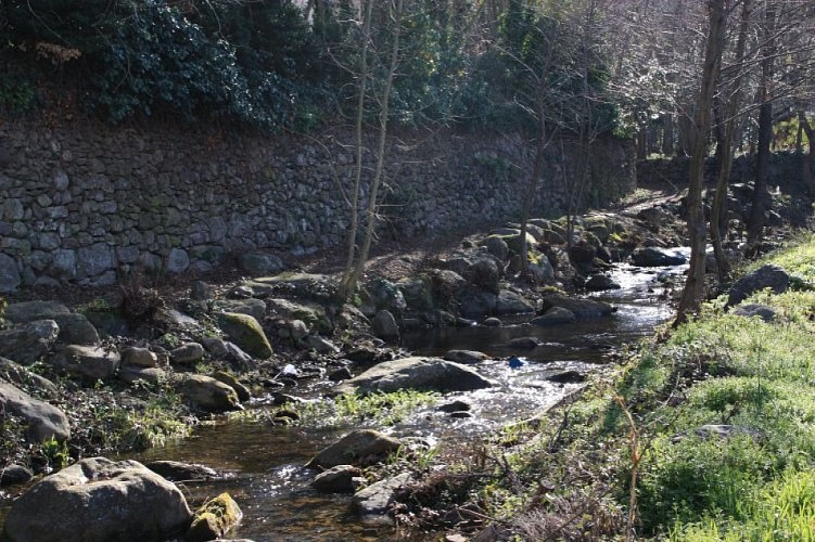 [Stroll] Discovering the flora and fauna