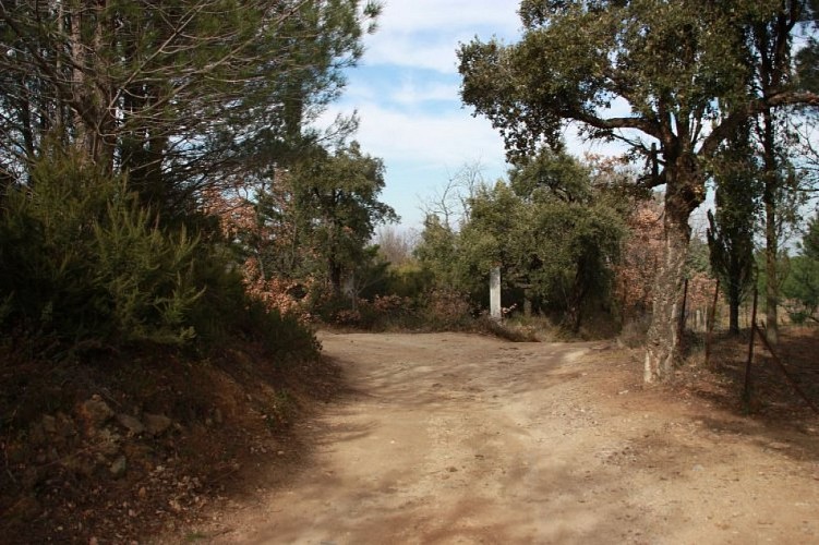 [Stroll] Discovering the flora and fauna