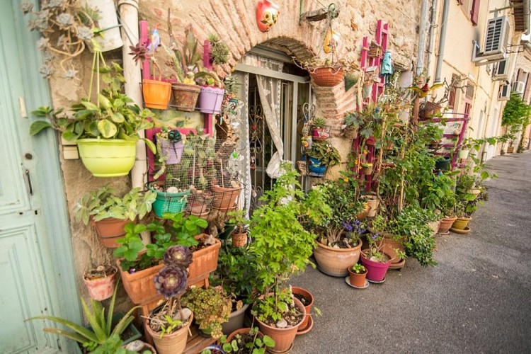 [Balade] Autour  d'Argelès-sur-Mer