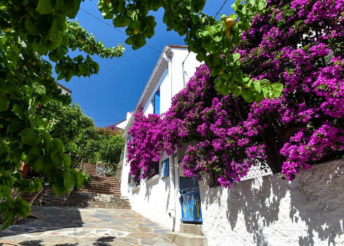 [Walk] In the Steps of Aristide