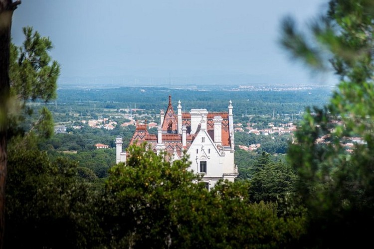 The Dolmen of la Cova de l'Alarb
